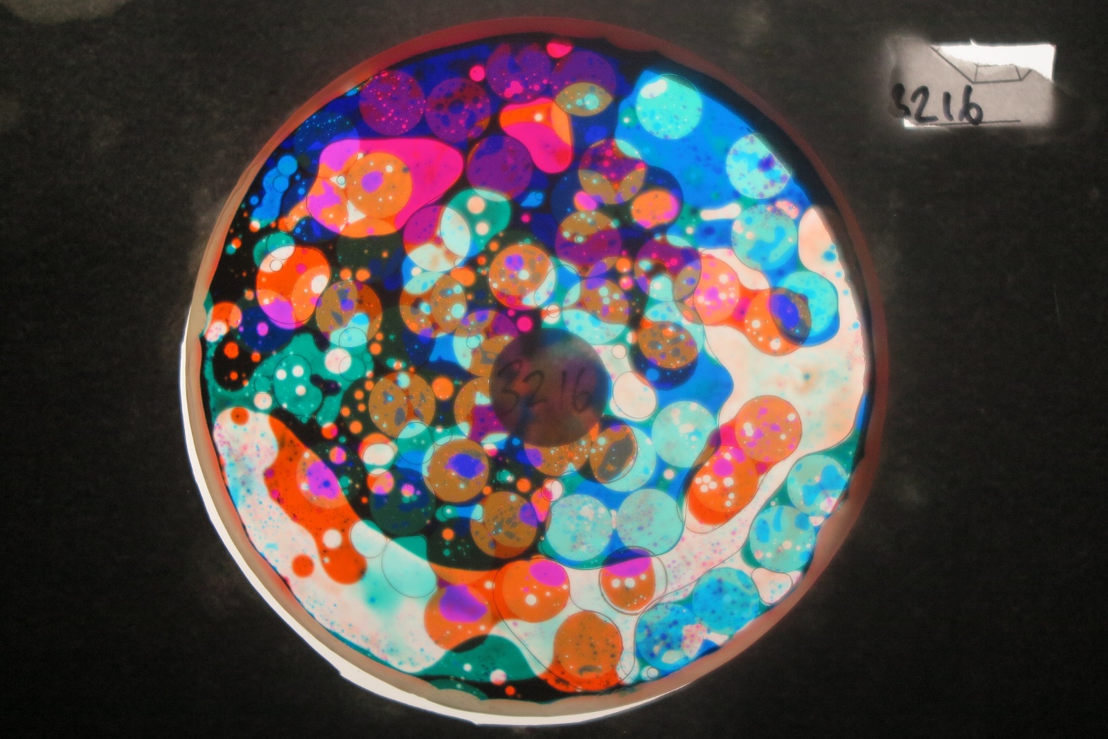 BV3216 bubble vision oil wheel